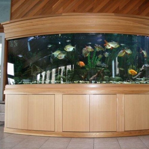 Aquarium